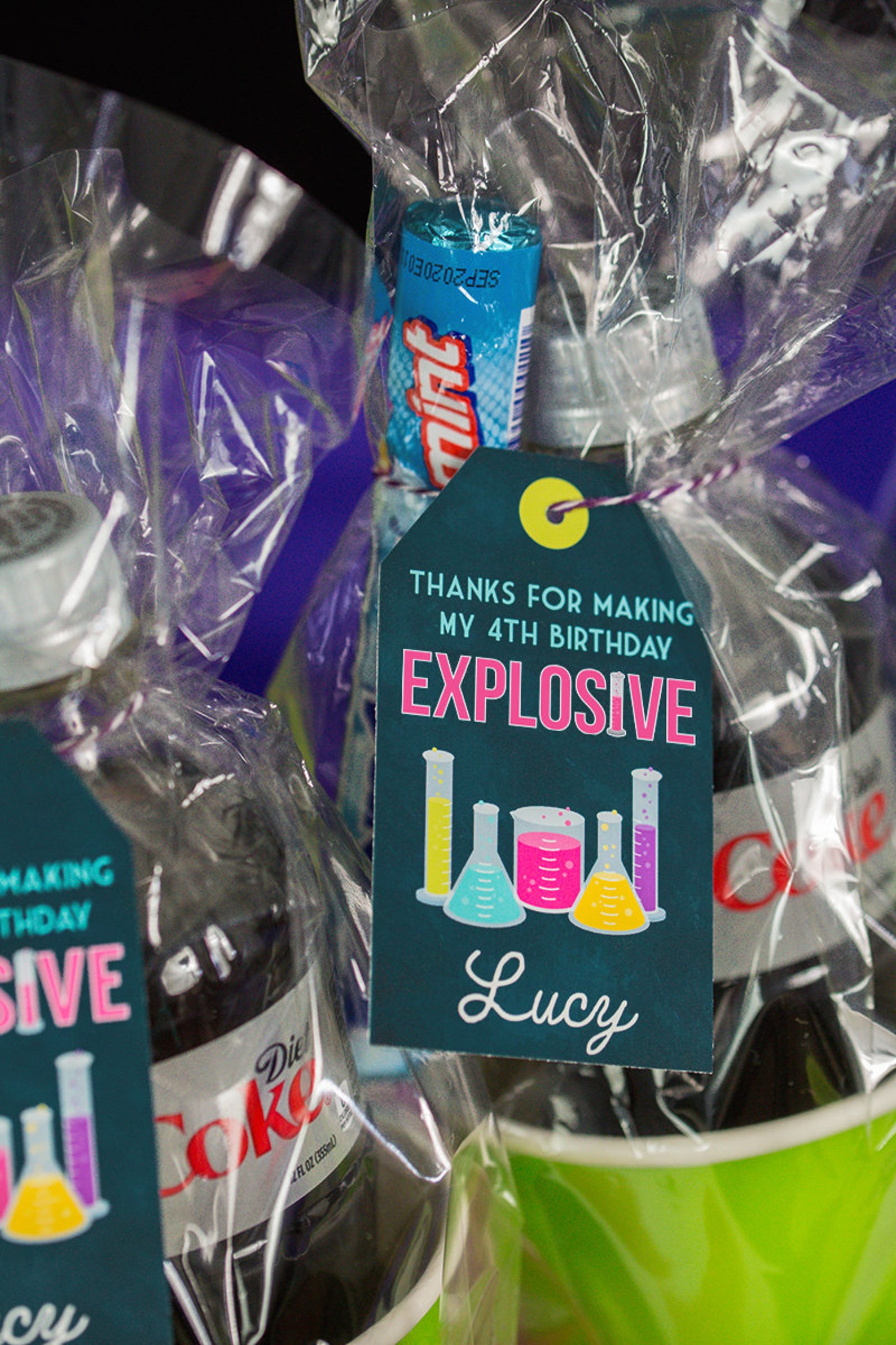 Girls Science Party Decorations Girls Science Birthday Etsy UK