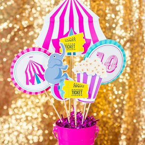 May include: A pink and white circus tent centerpiece with a pink bucket, popcorn, an elephant, and tickets that say "Circus Ticket".