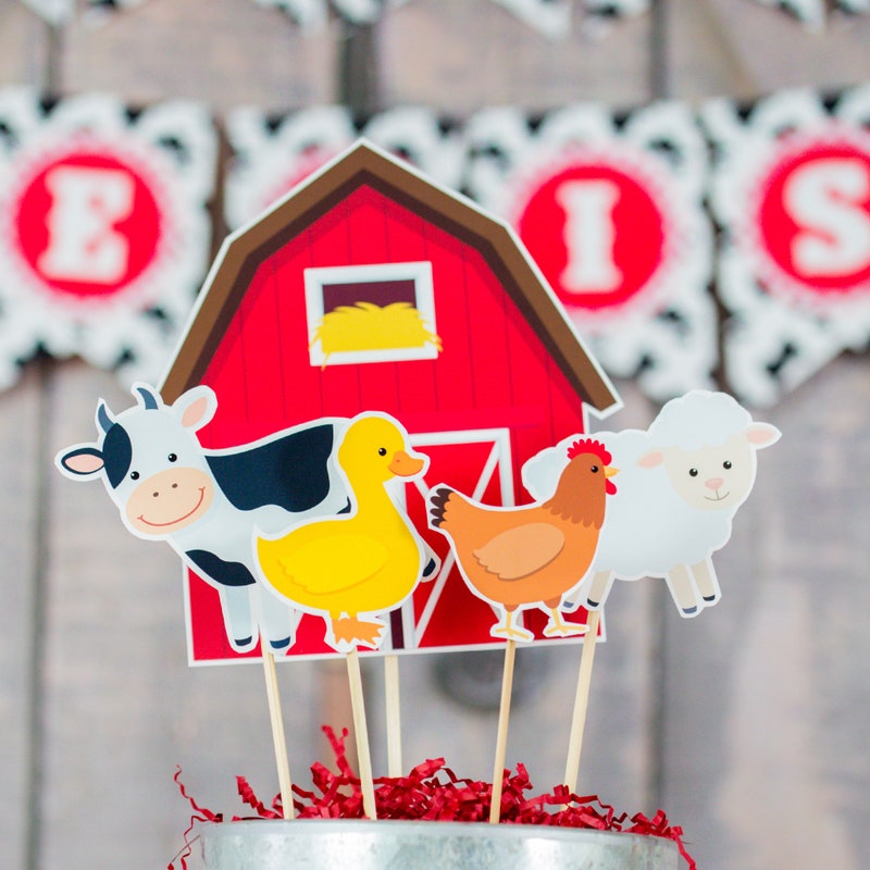 Farm Birthday Decorations - Etsy