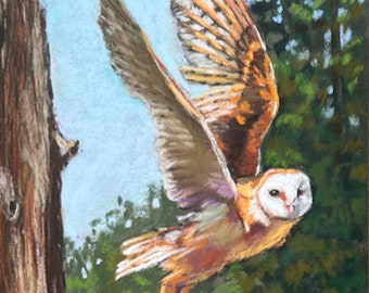 Owl Painting Original Art in Pastel