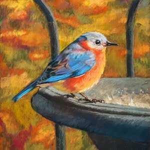 Eastern Bluebird Painting Original Art