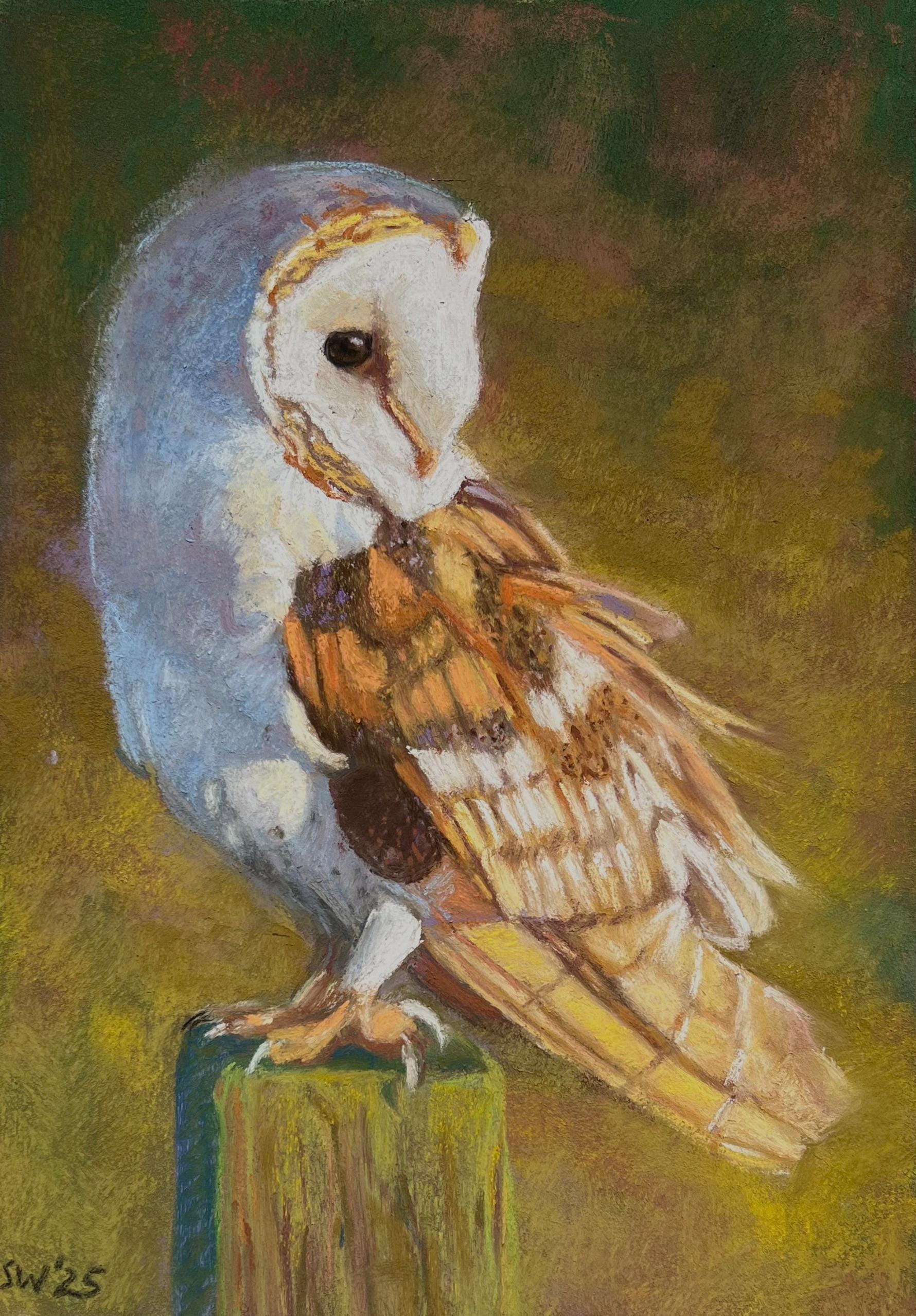 Owl Painting Original Pastel Painting