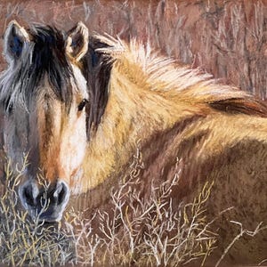 Horse Painting in Pastel Original Art