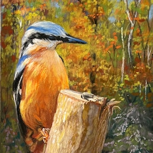 Bird Painting Original Art of Nuthatch Bird