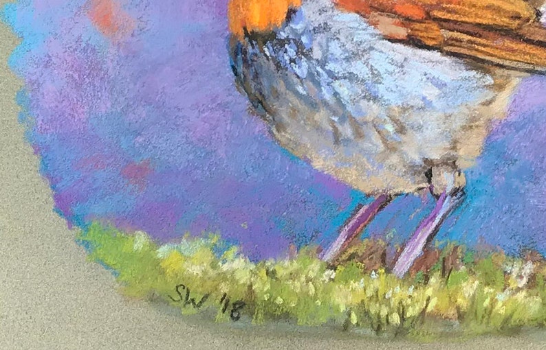 Original Painting of Robin Colorful Bird Art image 5