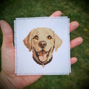 May include: Cross-stitch embroidery of a yellow Labrador Retriever with brown eyes, stitched on white Aida cloth.