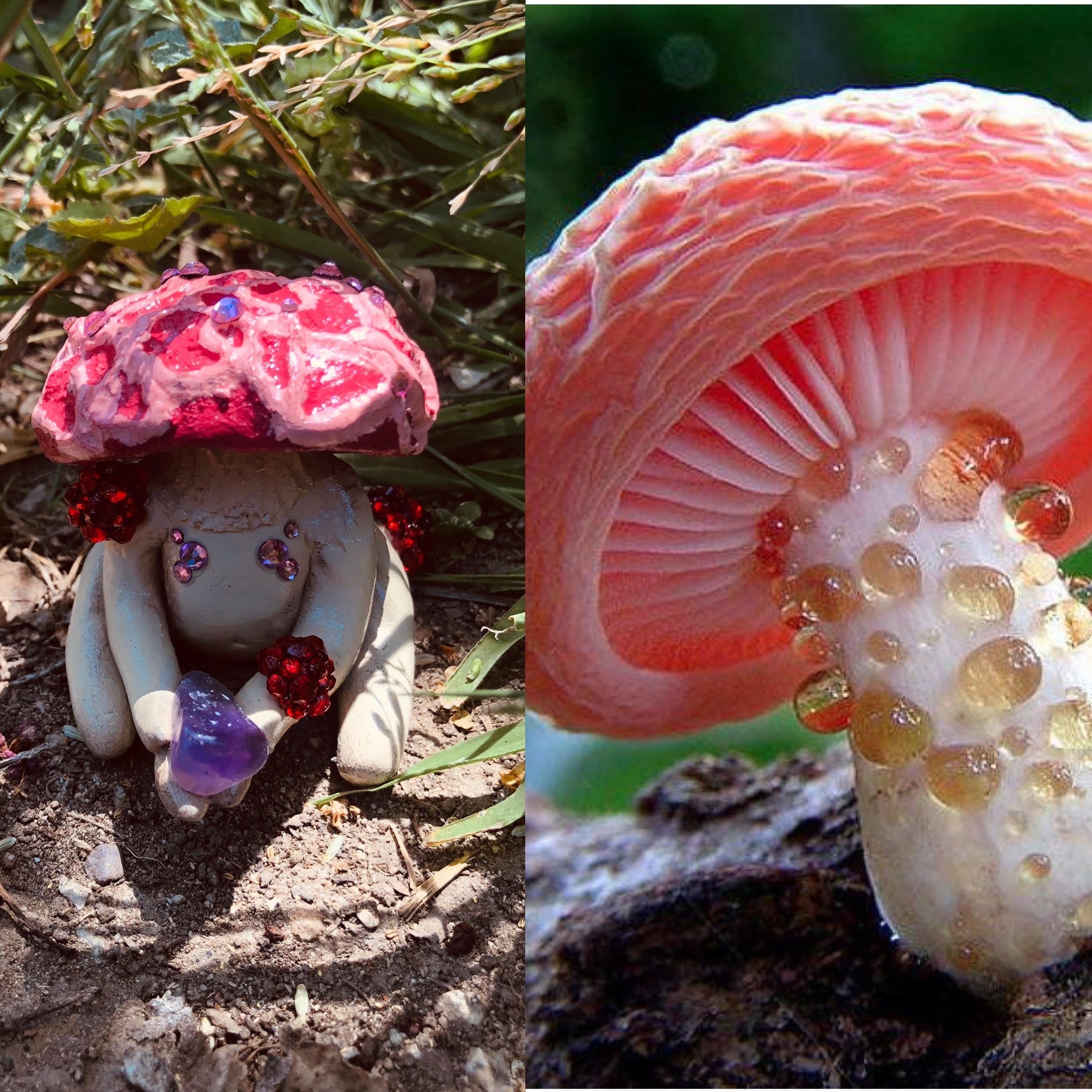 ブレア様　ASTIER ナタリーレテMummy Mushroom 4/5 