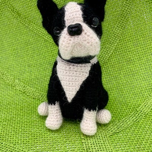 Pu&ograve; includere: Un giocattolo da cane Boston Terrier all'uncinetto con pelo nero e bianco, che indossa un collare bianco all'uncinetto. Il giocattolo &egrave; seduto su un tappetino verde intrecciato.