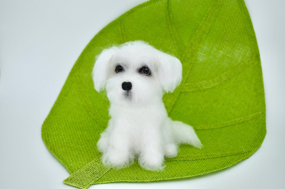 Maltese Crochet Pattern, Crochet Dog Pattern, Amigurumi Maltese Dog