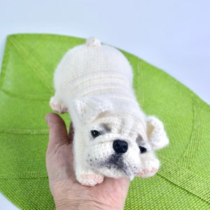 Englische Bulldogge Häkelanleitung, Welpe Bulldogge Hund Amigurumi Muster, Häkelanleitung Hund, Häkelanleitung Bulldogge