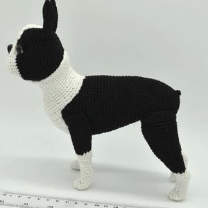 Boston Terrier Crochet Pattern, Crochet Dog Amigurumi Pattern, Crochet Boston Terrier Pattern image 7