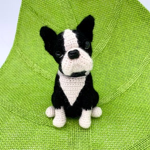 Pu&ograve; includere: Un cane Boston Terrier di uncinetto nero e bianco seduto su un tappetino verde intrecciato.