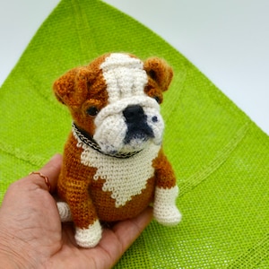May include: A crocheted bulldog puppy toy with brown and white fur, wearing a black collar. The toy is sitting in a person's hand.