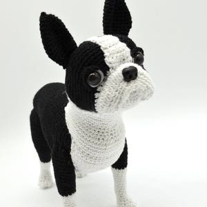 Boston Terrier Crochet Pattern, Crochet Dog Amigurumi Pattern, Crochet Boston Terrier Pattern image 5