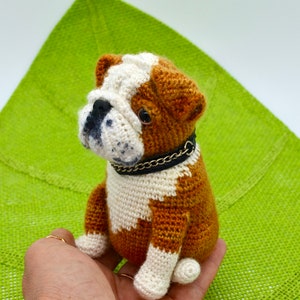 English Bulldog Crochet Pattern, Bulldog Dog Amigurumi Pattern, Crochet Dog Pattern, Crochet Bulldog Pattern