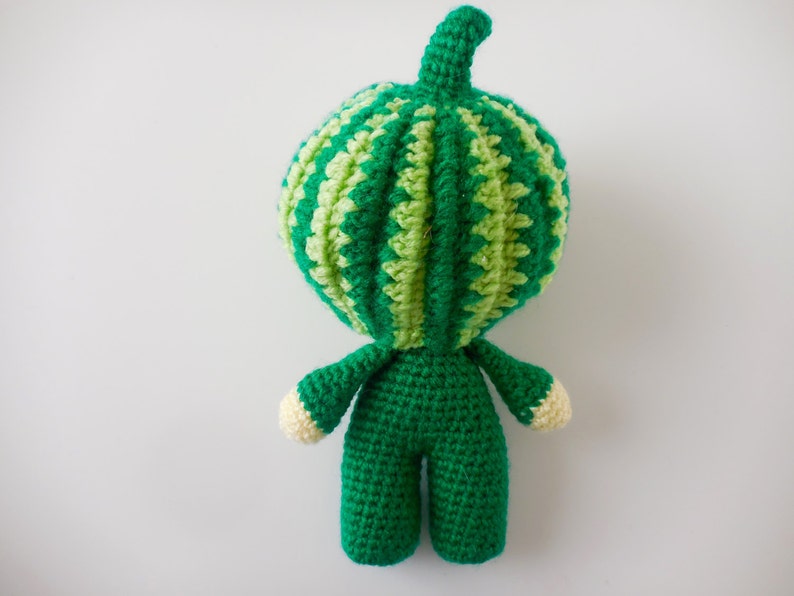 Watermelon Crochet Pattern Amigurumi Doll Watermelon William image 4