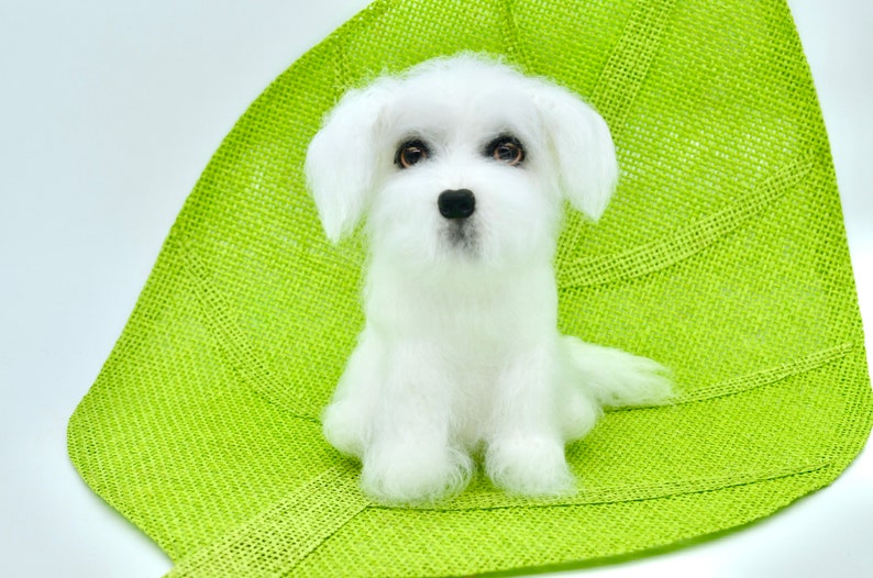 Maltese Crochet Pattern Crochet Dog Pattern Amigurumi Etsy