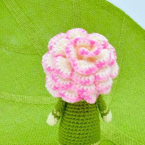 Op de afbeelding: Een gehaakte pop met een roze en witte bloemenhoofd en een groene jurk.