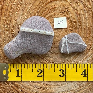 May include: Two smooth, grey stones with white stripes. The larger stone is about 2 inches long and the smaller stone is about 1 inch long. The stones are sitting on a wooden surface with a yellow measuring tape.