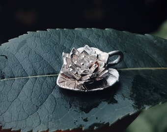 Made to order. Ninfea. Herbarium n.5