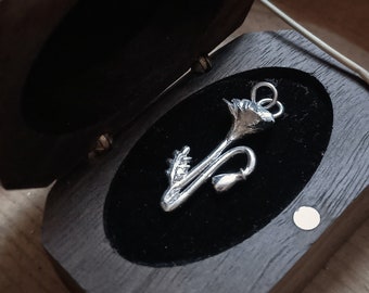 Made to order. Papavero. Herbarium no.3