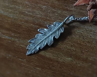 Quercia in Argento 925 anticata