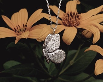 Butterfly pendant in silver