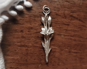 Made to order. Giglio. Herbarium no.1