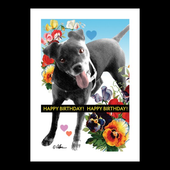 12 pezzi assorti di biglietti di auguri per il compleanno dei