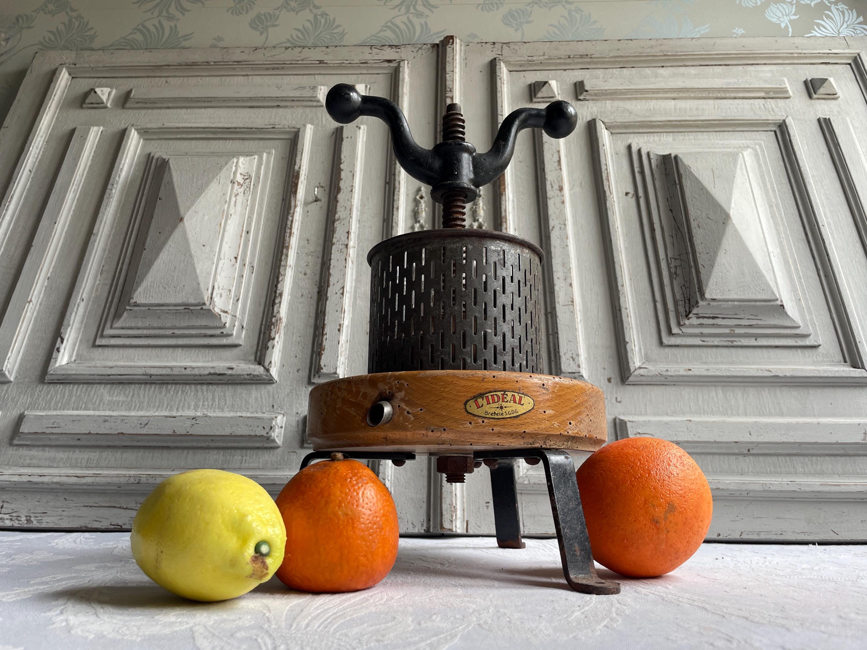 VEVOR Pressoir à Fruits Manuel 14 L, Presse à Vin Acier Inox, Poignée VEVOR Pressoir à Fruits Manuel 14 L, Presse à Vin Acier Inox, Poignée
