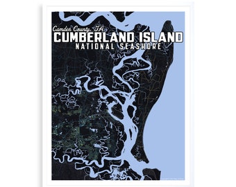 Cumberland Island, Georgia Beach, Georgia Parks, Travel Art, Outdoor Lovers, National Park Poster, Beach decor, Nature Lover Gift!