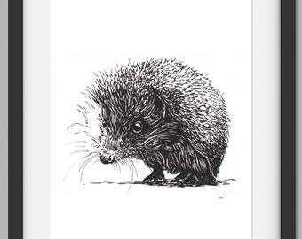 Digital Print A4: Little Hedgehog