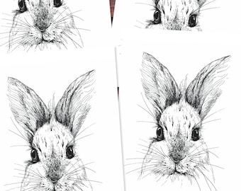 Postcards (5 pieces): White Rabbit