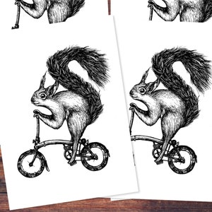 Cartes postales (5 pièces): Cyclisme