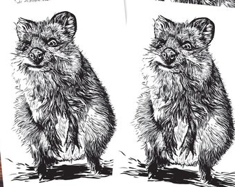 Postkarten (5 Stück): Quokka