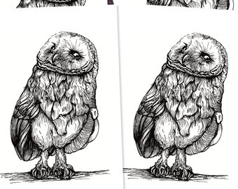 Postcards (5 pieces): Astonished Owl