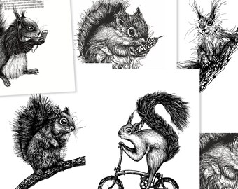 Postkartenset (10 Stück): Eichhörnchen/Squirrel