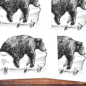 Postcards 5 Pieces: The Bear image 1