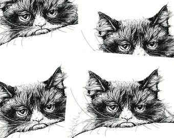 Postkarten (5 Stück): Grumpy Cat