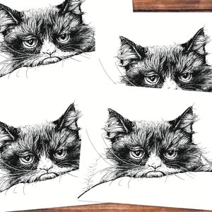 Fünf Postkarten mit der schwarzen Zeichnung eines Katzenkopfes
