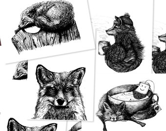 Postcard set (8 pieces): Foxes