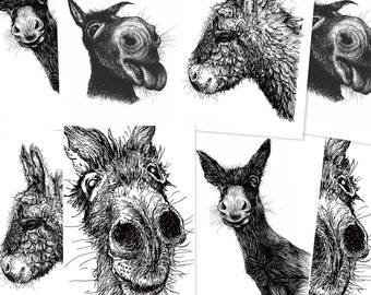 Postcard set (8 pieces): Donkey