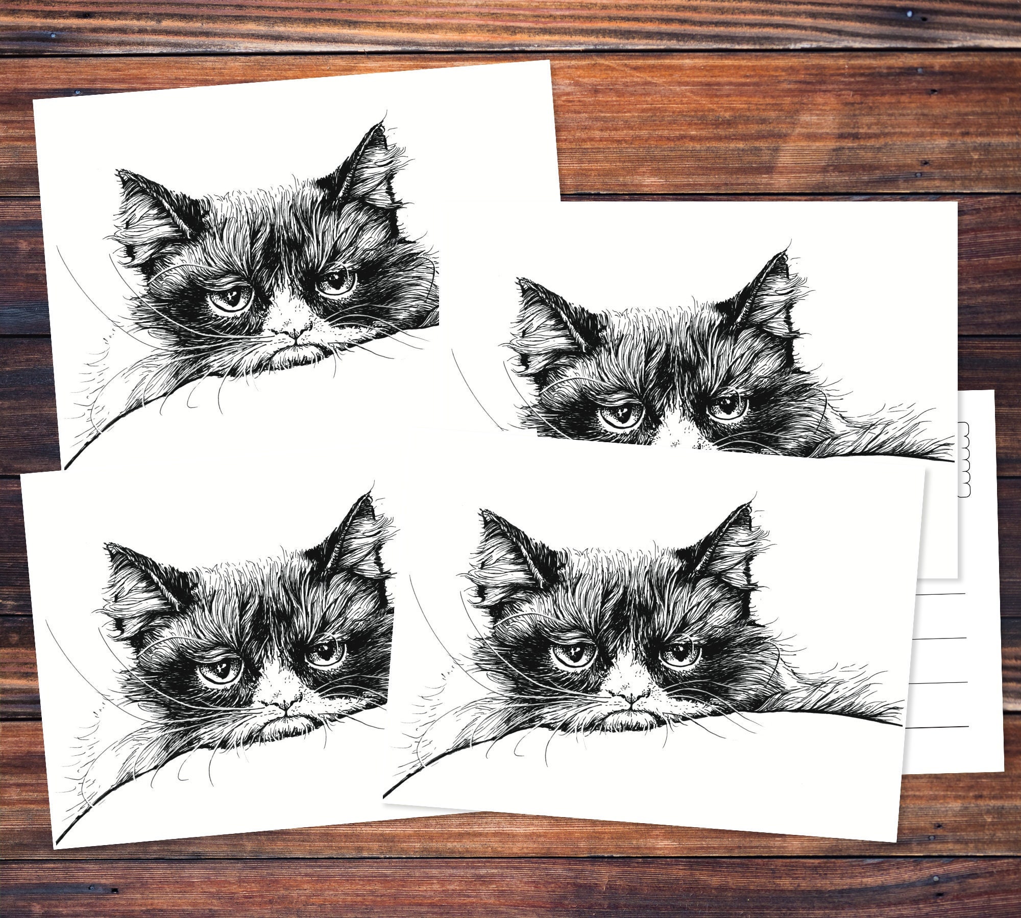 grumpy cat pencil drawing