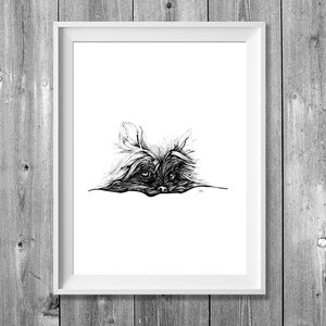 Digitaldruck A4: Kleiner Hund