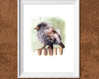 Digital print A4: Small Sparrow