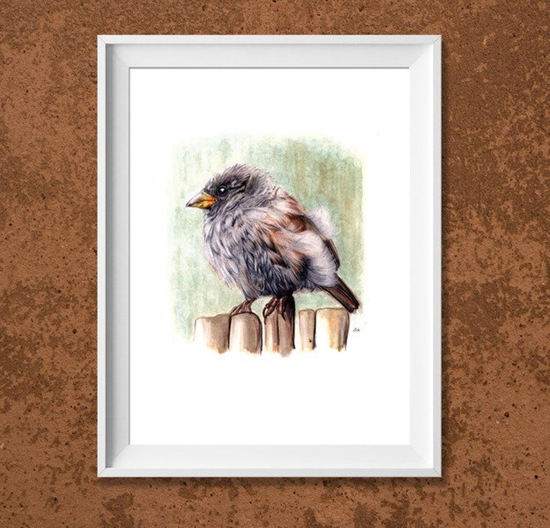Digital print A4: Small Sparrow image 1