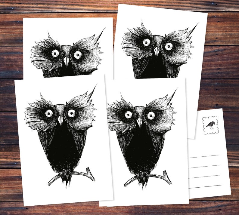 Postkarten 5 Pieces: Old Owl image 1