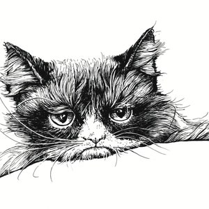 Postcards 5 pieces: Grumpy Cat image 2