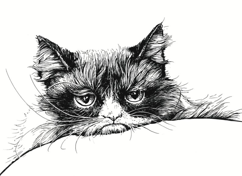 Postcards 5 pieces: Grumpy Cat image 2