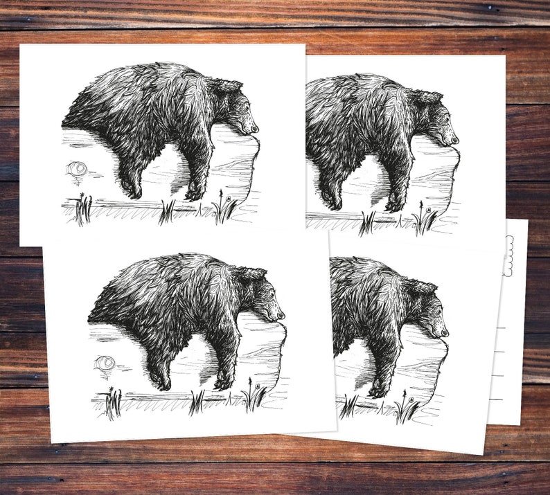 Postcards 5 Pieces: The Bear image 1